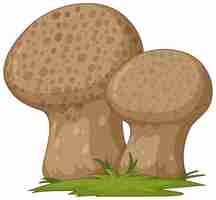 Free vector fungus cartoon style isolated on white background