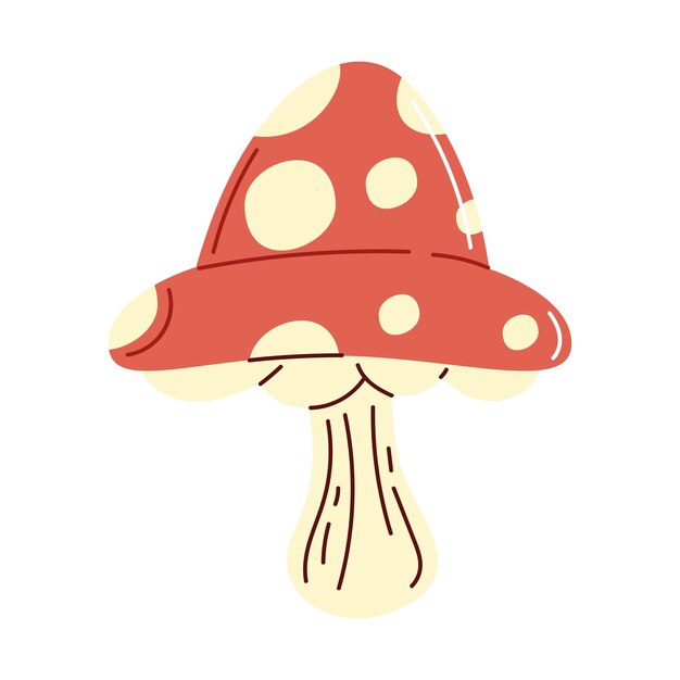 fungus plant garden nature