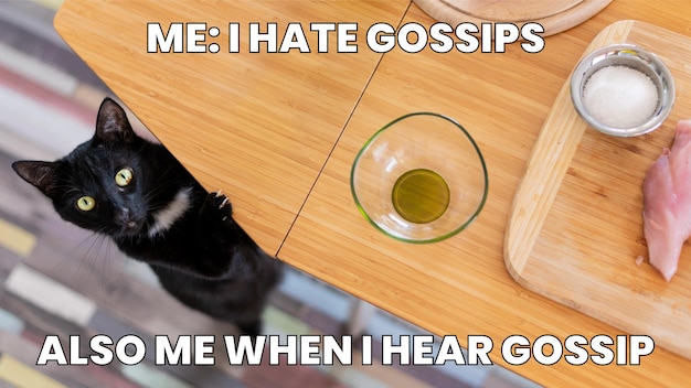 Funny gossip meme