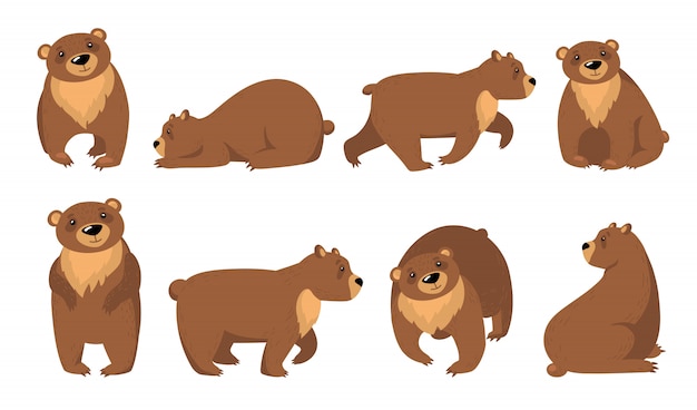 Funny grizzly bears set