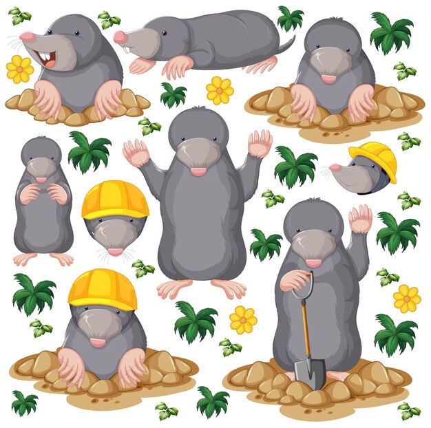 Free vector funny guinea pig and mole on white background