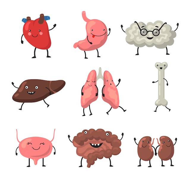 Funny human organs set Free Vector