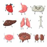 Free vector funny human organs set