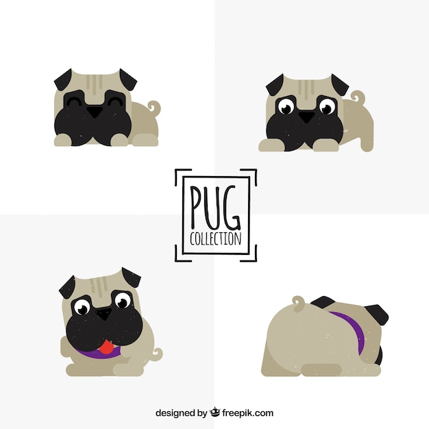 Funny pugs with lovely style