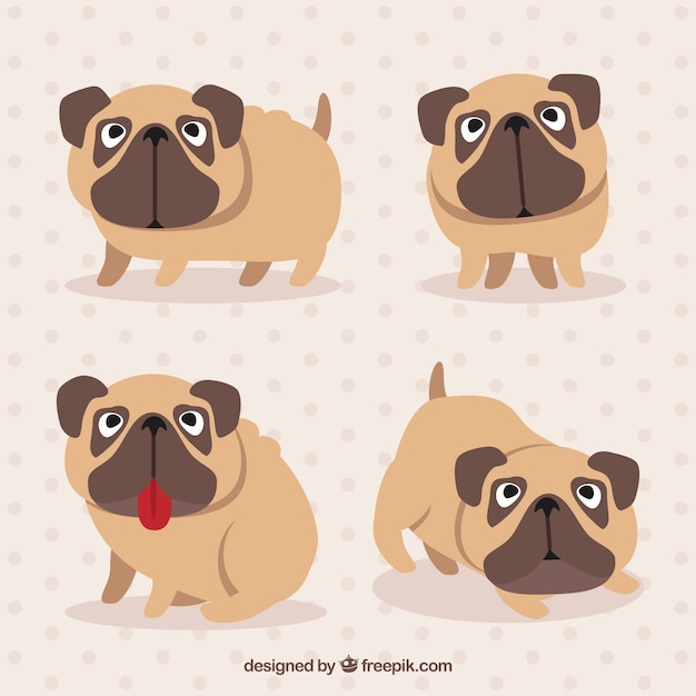 Free vector funny pugs with original style