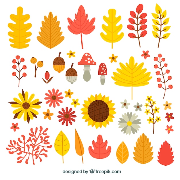 Funny set of autumnal elements