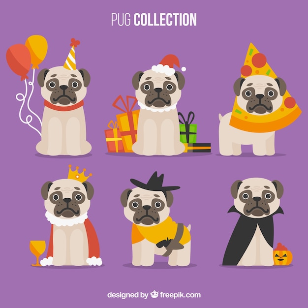 Free vector funny set of flat pugs