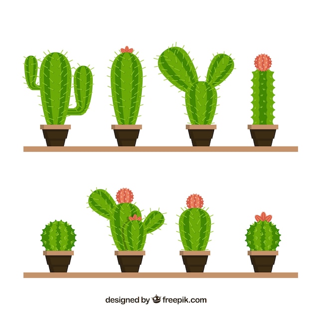 Free vector funny variety of lovely cactus