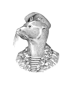 Fur seal man in military uniforms marine mammal fashion animal character hand drawn sketch engraved