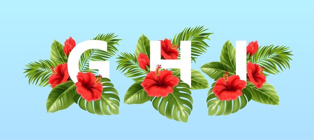 夏の熱帯の葉と赤いハイビスカスの花に囲まれたGHIの文字