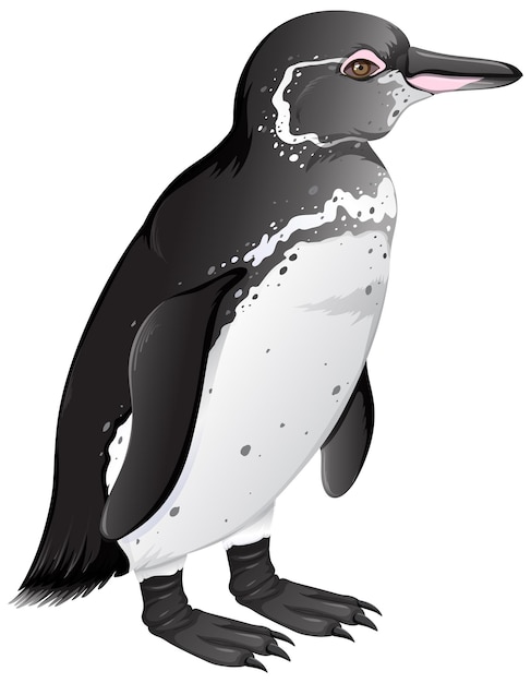 Бесплатное векторное изображение Галапагосский пингвин на белом фоне
