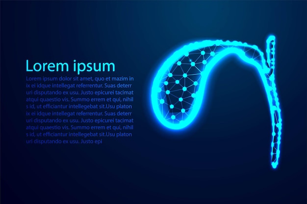 담낭 인체 해부학 연결 점과 선 벡터 일러스트 레이 션에서 추상 낮은 폴리 와이어 프레임 디자인