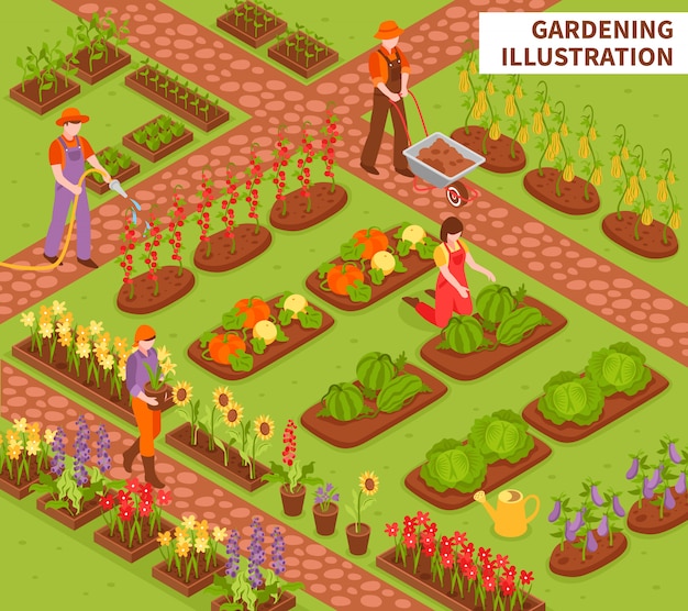 Free vector gardening isometric composition