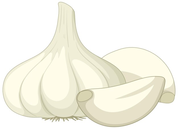 Garlic in cartoon style isolated