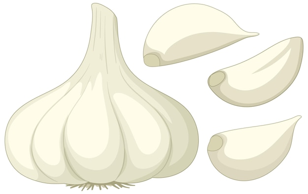 Free vector garlic in cartoon style isolated