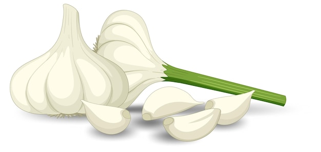 Teste di aglio con chiodi di garofano su sfondo bianco