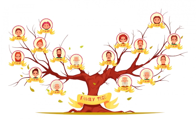 Genealogical tree set of family members from elderly persons to young generation illustration