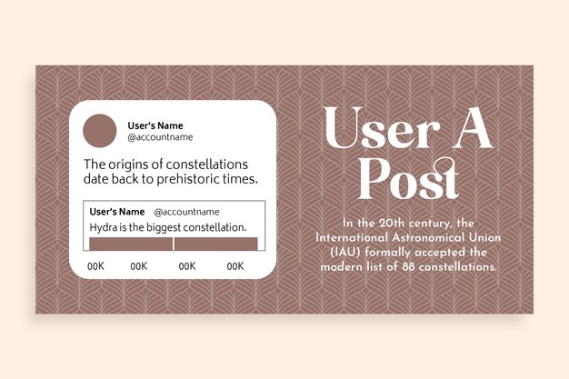 Generic  twitter post design