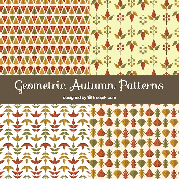 幾何学的な秋のパターン