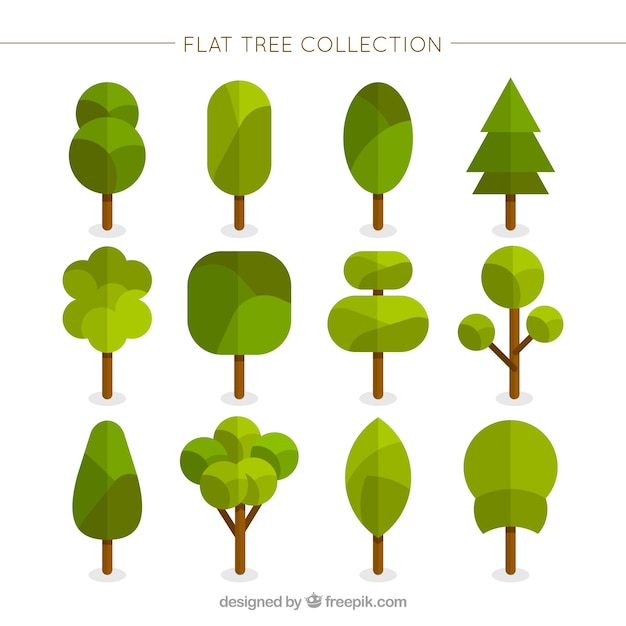 Бесплатное векторное изображение Геометрические деревья в плоском стиле