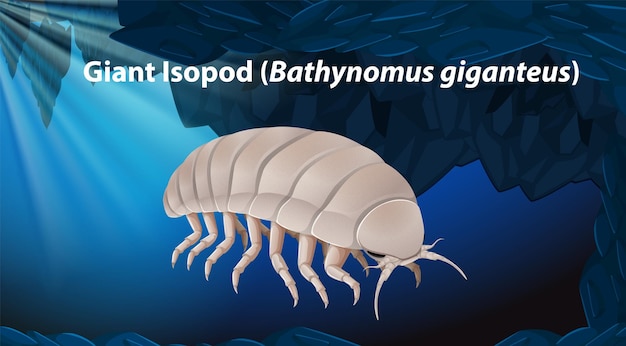 Бесплатное векторное изображение Гигантский изопод bathynomus giganteus