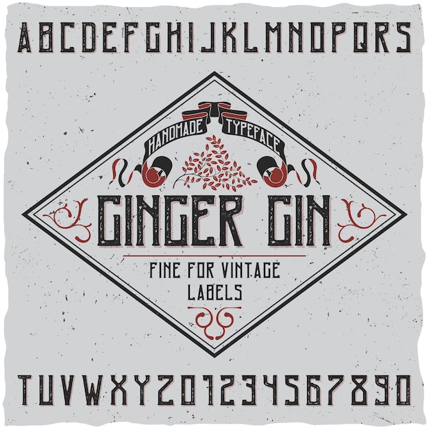 Vettore gratuito poster di carattere tipografico di gin allo zenzero con decorazione su illustrazione di design semplice etichetta