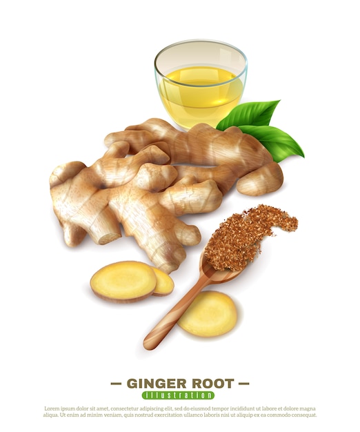 Ginger Root 3D Composition