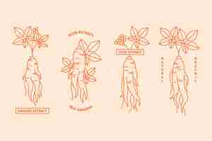 Free vector ginseng jar label collection