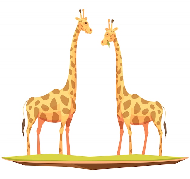 Free vector giraffe couple