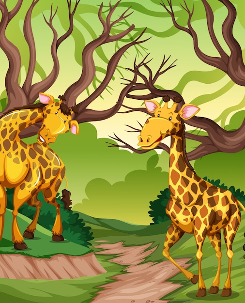 Free vector giraffe in the jungle