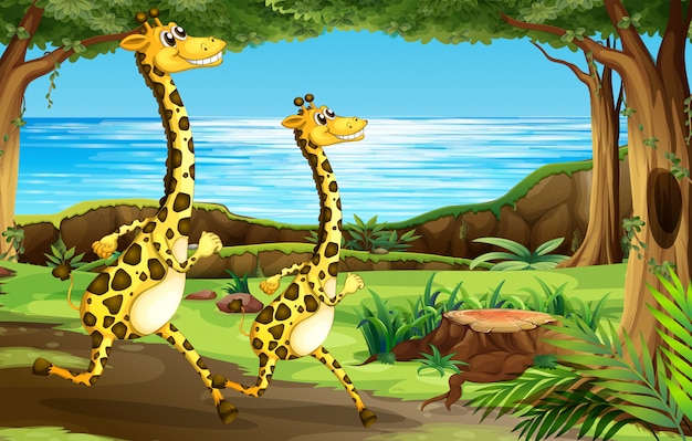 Free vector giraffe running in the forest