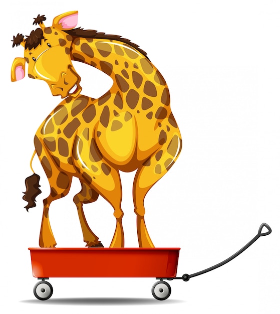 Giraffe standing on small wagon