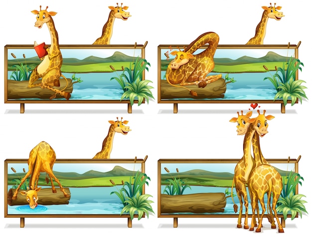 Free vector giraffes in the wooden frames