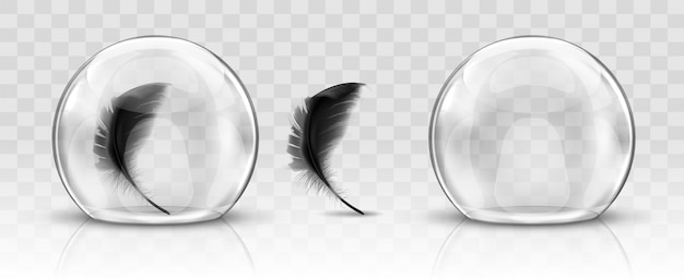 Glass dome or sphere and black feather realistic