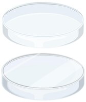 Glass petri dish on white background