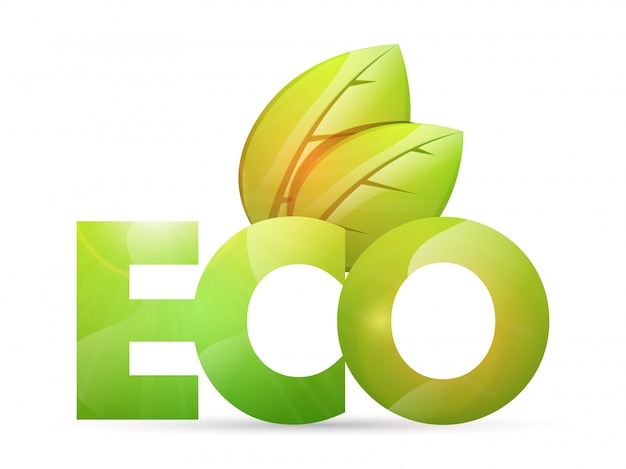  Glossy green leaves and text ECO on white background. 