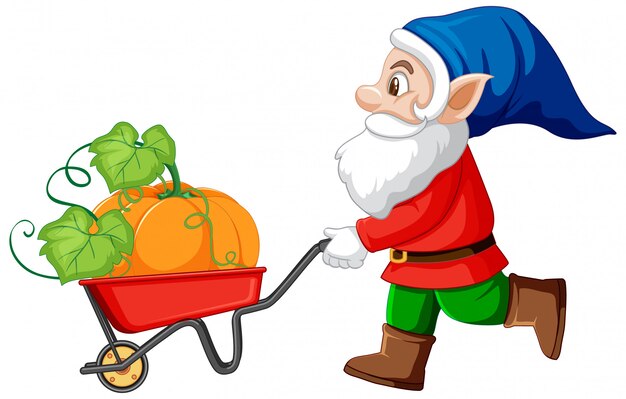 Gnome havest pumpkin with wheelbarrow cart cartoon character on white background