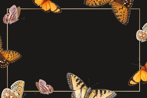 Free vector gold frame with butterfly patterned background vector