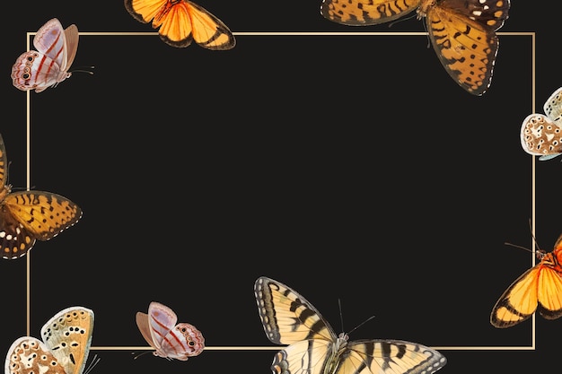 蝶模様の背景ベクトルとゴールドフレーム