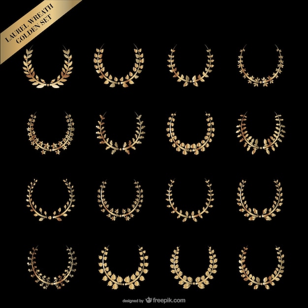 gold laurel wreath    vector