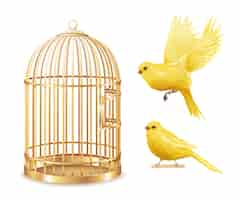 Free vector golden canary cage set