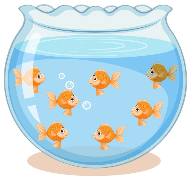 Free vector golden fish in the tank