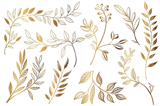 Free vector golden hand drawn floral leafs outline collection