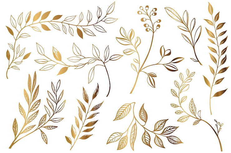 Free Vector golden hand drawn floral leafs outline collection