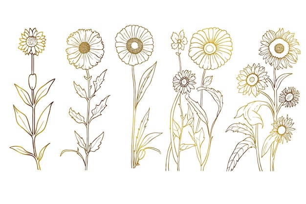 Free vector golden hand drawn flower outline collection