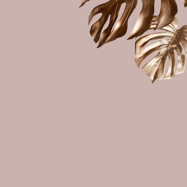 Golden monstera leaves on a pink background