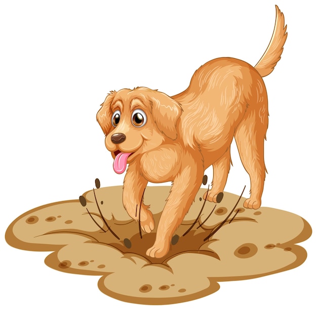 Golden retriever dog cartoon on white background