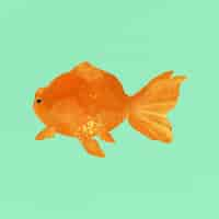 Free vector goldfish on a green background