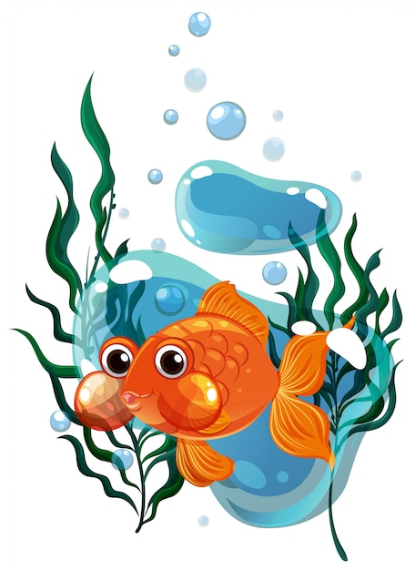 Золотая рыбка, плавающая под водой
