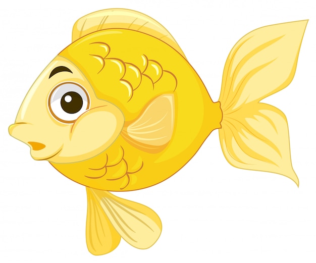 Free vector a goldfish on white background